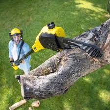 Best Lawn Mowing  in Anahuac, TX